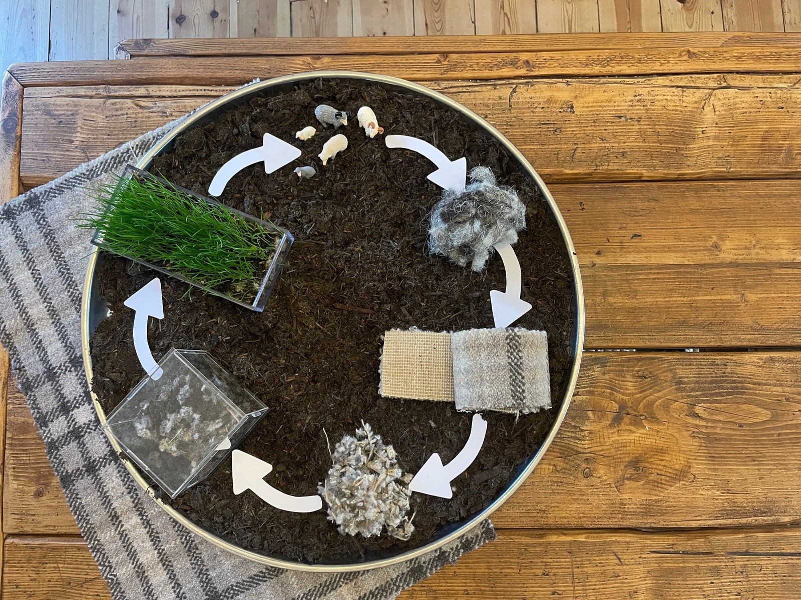 Biological cycle model overview